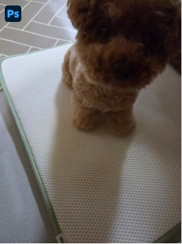 익명 고객