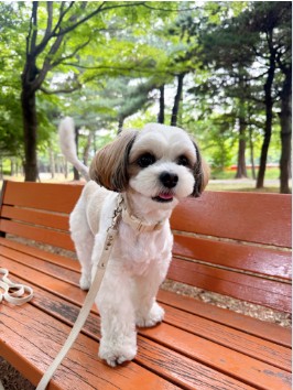 익명 고객